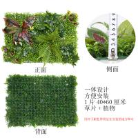 uploads/erp/collection/images/Home Garden/CongDing/XU0611796/img_b/XU0611796_img_b_4
